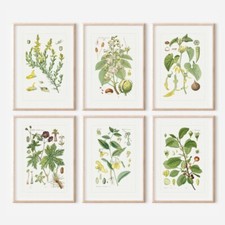 Six Antique￼ Vintage Repro