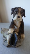 Adorables boxer puppy dog with old boot in perfect condition