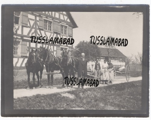 Simmental switzerland old - switzerland, farm