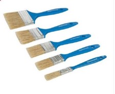 5 Piece Disposable Paint Brush