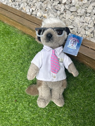 Compare the meerkat - the,