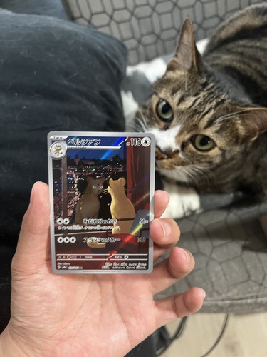 Japanese pokémon card - nm-,