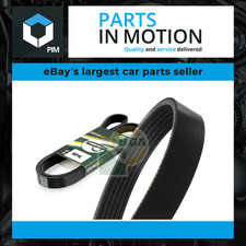 6 Rib Multi V Drive Belt fits