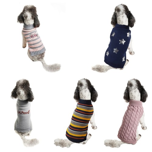 Pet puppy dog woof - diva, stars