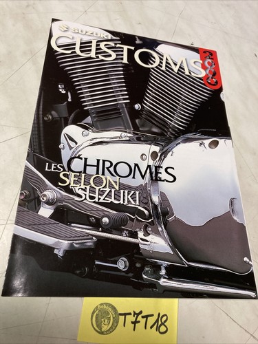 Suzuki custom 2000 vz800 - suzuki,