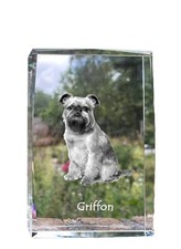 Brussels Griffon, Griffon