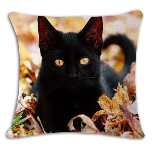 Chair sofa cushion - chair, cute