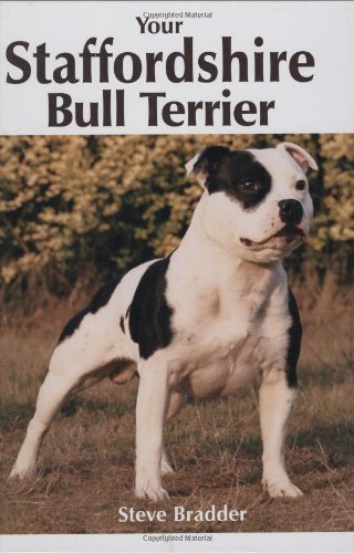 Your staffordshire bull - staffordshire,