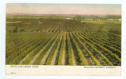 Niagara district canada - niagara, canada-fruit