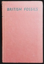 British Fossils - Third
