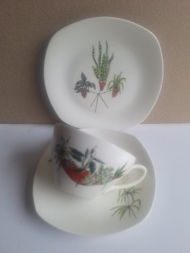 Midwinter plant life cup - plant,