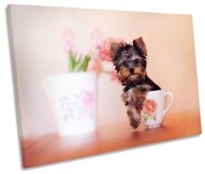 Yorkie Puppy Teacup Print CANVAS WALL ART Picture Orange