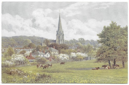 Dorking quinton unused - by,
