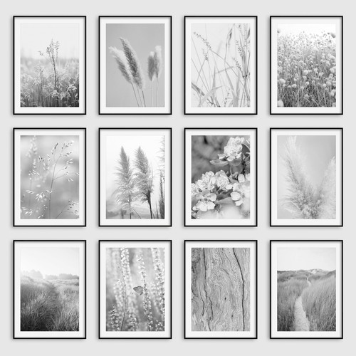 Black white botanical - &,