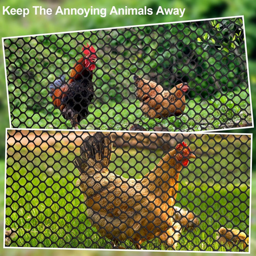 Plastic chicken mesh fence - mesh,