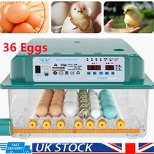 36x Egg Digital Incubator
