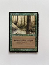 Singing Tree Arabian Nights Magic The Gathering MTG