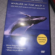 Whales In The Wild II: New