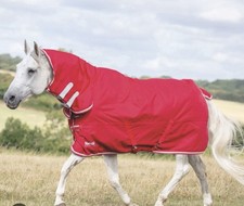 SHIRES TEMPEST ORIGINAL LITE