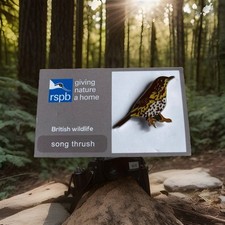 RSPB-Pin Badge GNAH  SONG