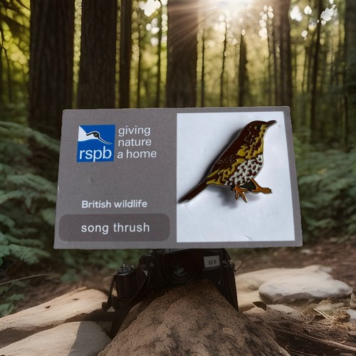 Rspb pin badge gnah - badge, song