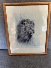 Ruane Manning Lion Print