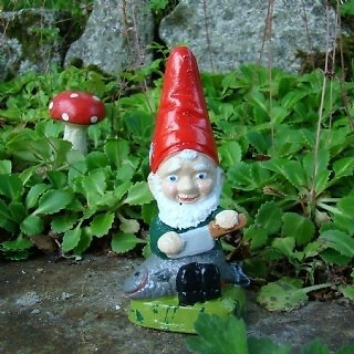 Garden gnome dylan mini - gnome,