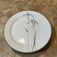 Set Of 12 - Vintage Corelle Corning Shadow Iris Dinner Plates 