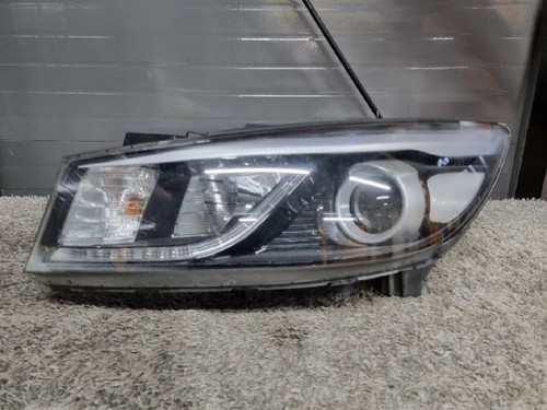 2015 kia sedona hid - 2015, hid/xenon