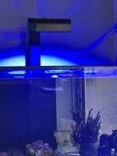 Red Sea Reef LED 90 x 2