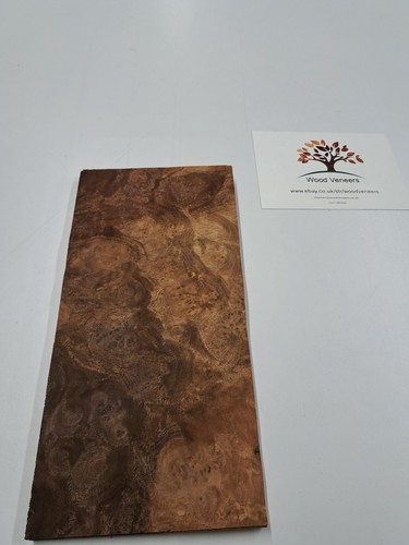 Burr walnut veneer 1 natural - veneer,