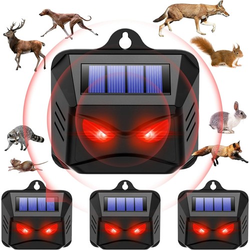 Solar motion sensor cat - motion,