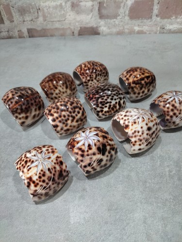 Natural tiger cowrie shell - tiger,