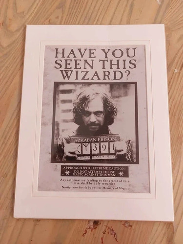 Harry potter sirius black - harry,