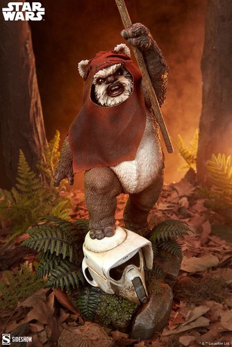 Star wars wicket - wars,