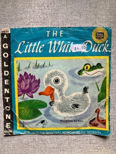 Orange little white - white, duck
