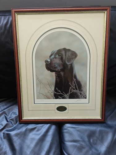 John silver signed limited - john,
