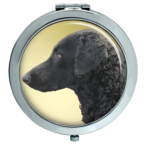 Curly coated retriever - curly, compact