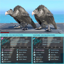 Top Stat Vulture Mating Pair - Solid Black - Ark Ascended Crossplay PVE