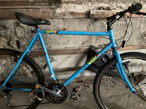Vintage 1990 raleigh - vintage, montage