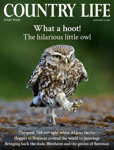 Country life magazine - life,