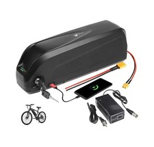 Hailong 36V Lithium Ebike