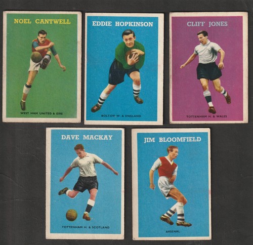 Bubble gum 1959 - ,
