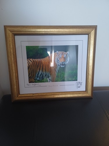 Jungle prince wildlife - jungle,