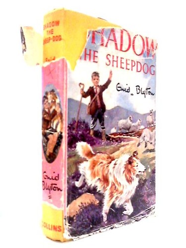 Shadow the sheep dog - shadow,