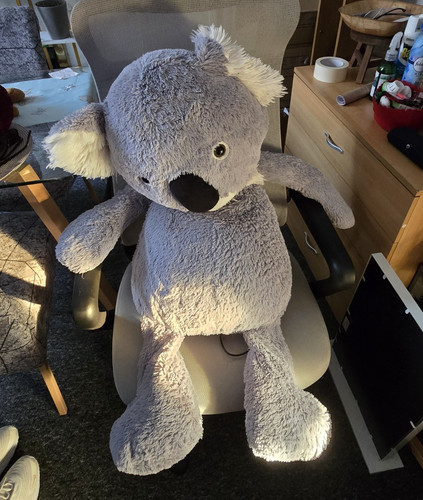 Large grey koala - grey, plush