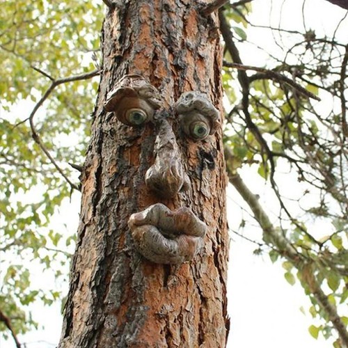 Funny old man tree - man, hugger