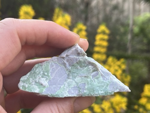 Variscite natural mineral - variscite, from