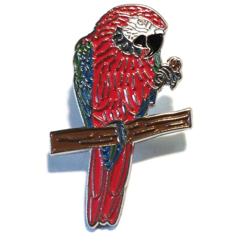 Red blue macaw parrot on - &,