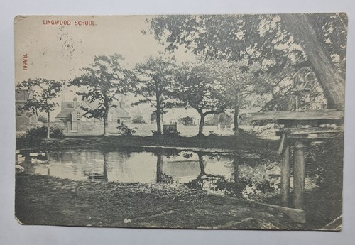 Lingwood school norfolk - lingwood,